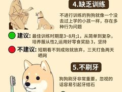 -美联众合动物医院·24h转诊中心