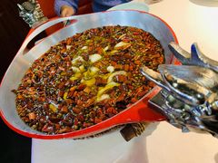 -雲蜀龙阁·金牌水煮鱼(方庄店)