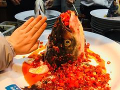 -坛宗剁椒鱼头(河西王府井店)