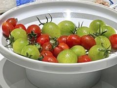 -渔港甄宴·海鲜·地标烟台菜(金沙滩店)