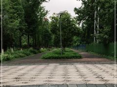 -重庆彩云湖湿地公园