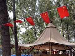 -森林小栈TreeStation露营基地