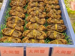 -御满江海鲜酒家(洛溪新城店)