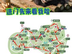 -红山森林动物园