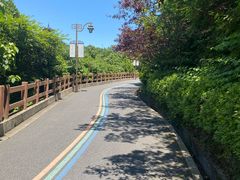 -杭州半山国家森林公园