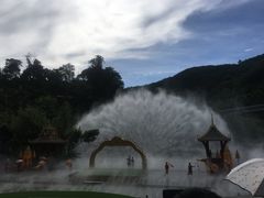 -西双版纳原始森林公园