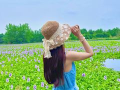 -白鹭湾湿地公园