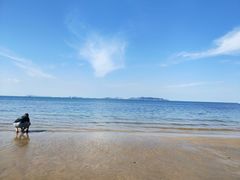 -宾朋海鲜特色美食餐厅·纯手工鲅鱼水饺(兴海路店)