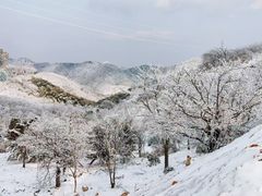 -四明山国家森林公园