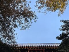 -灵谷景区