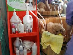 -瑞派宠物医院·24小时骨科·心脏·核磁(哈尔滨南岗店)
