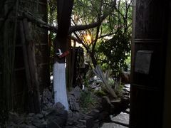 -翠湖里(翠湖南路店)