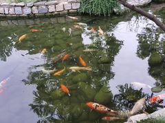 -三里河公园