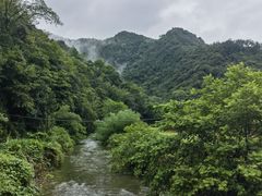 -大围山国家森林公园