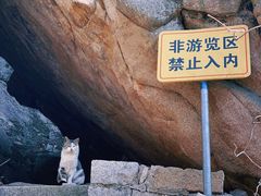 -崂山巨峰游览区