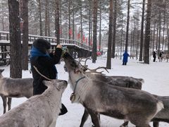 -北极村旅游风景区