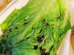 白灼生菜-金鼎轩(亚运村店)