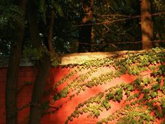 -大连理工大学(凌水校区)