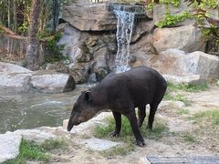 -上海野生动物园