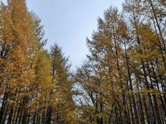 -华福羊汤馆(小市总店)