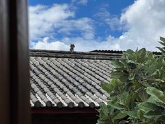 -王老师咖啡烘焙室
