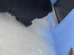 -青藏高原野生动物园