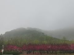-北京雁栖湖国际会展中心