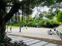 -燕晗山郊野公园