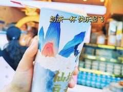 -仙境豆夫(步行街旗舰店)