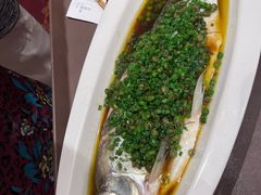 -新雅粤菜馆(南京东路店)