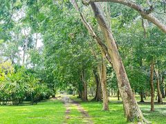 -中国科学院西双版纳热带植物园