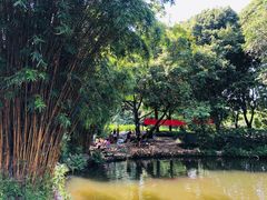 -成都市活水公园