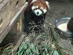 -青藏高原野生动物园