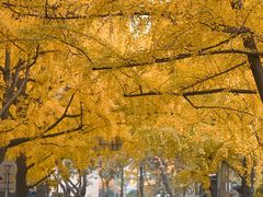 -四川大学(华西校区)