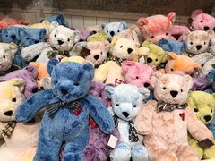 -济州岛泰迪熊博物馆