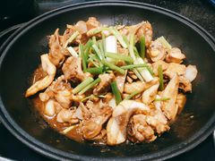 脆肉鲩炆鸡-大嫂镬仔·焖鸡煲·啫啫煲(逢源路店)