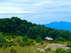 -白草畔自然风景区