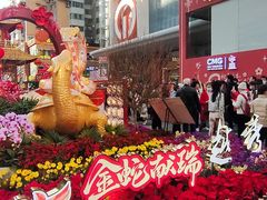 -越秀西湖花市(广州城市广场花卉店)