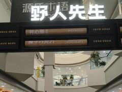 -野人先生Gelato(上海长宁龙之梦店)