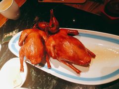 -大鸽饭(岗顶店)
