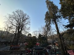 -潭柘寺景区
