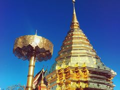 -清迈夜间动物园