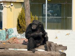 -西霞口神雕山野生动物世界