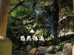 -张家港金凤凰度假村温泉