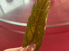 -岛中岛·海鲜大排档·万宁老字号(东澳店)