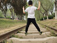 -永定河休闲森林公园