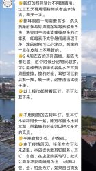 -花师傅