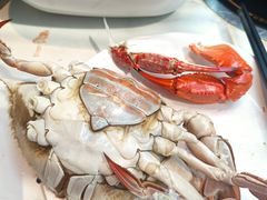 -半岛听涛蒸汽海鲜自助(K11店)