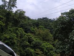 -南丹山森林王国
