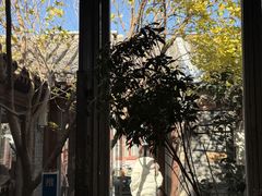 -VOYAGE COFFEE(杨梅竹店)